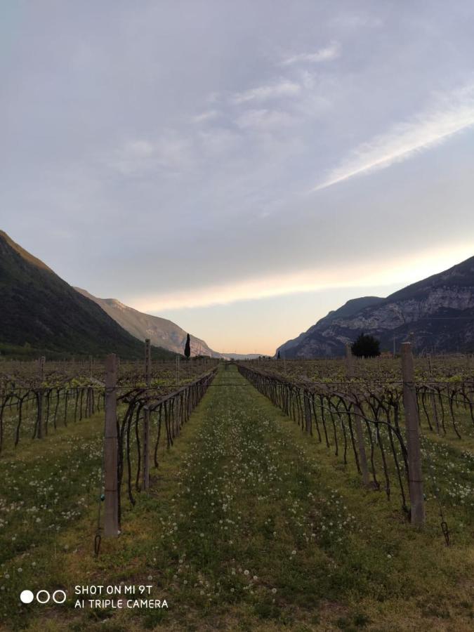 Agriturismo Revena Brentino Belluno Εξωτερικό φωτογραφία
