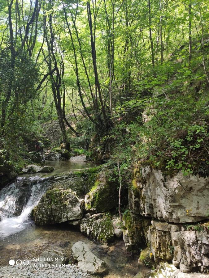 Agriturismo Revena Brentino Belluno Εξωτερικό φωτογραφία