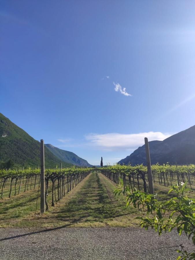 Agriturismo Revena Brentino Belluno Εξωτερικό φωτογραφία