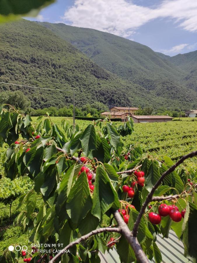Agriturismo Revena Brentino Belluno Εξωτερικό φωτογραφία