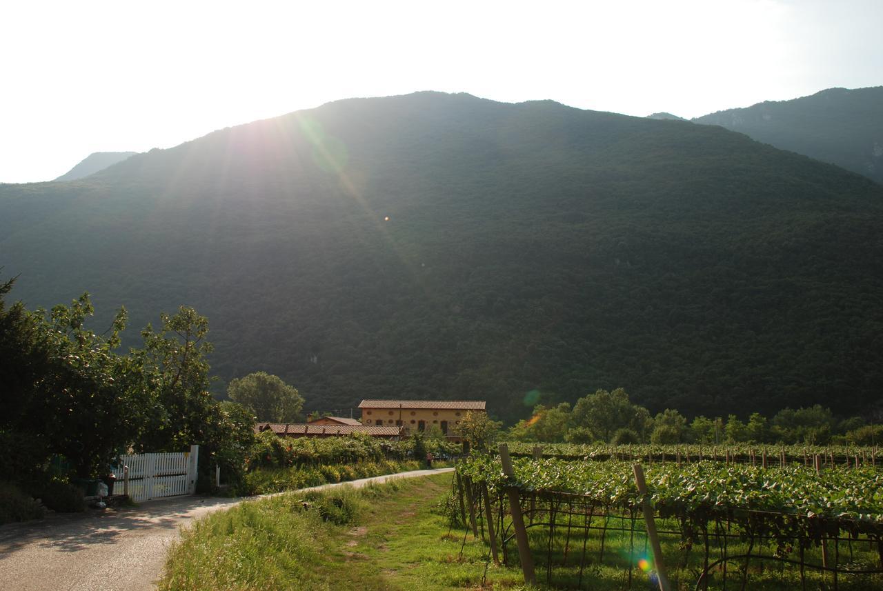 Agriturismo Revena Brentino Belluno Εξωτερικό φωτογραφία